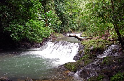 Parque Nacional Corcovado Parque Nacional Corcovado