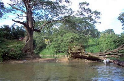 Parque Nacional de Guanacaste Parque Nacional de Guanacaste
