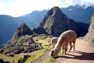 Las ruinas de Machu Picchu Las ruinas de Machu Picchu