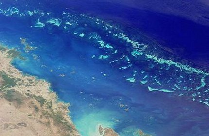La Gran Barrera de Coral de Australia La Gran Barrera de Coral de Australia