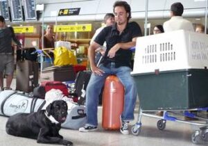 perros Una experiencia canina