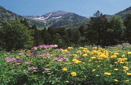 Parque Natural de la Vall de Sorteny, en Andorra