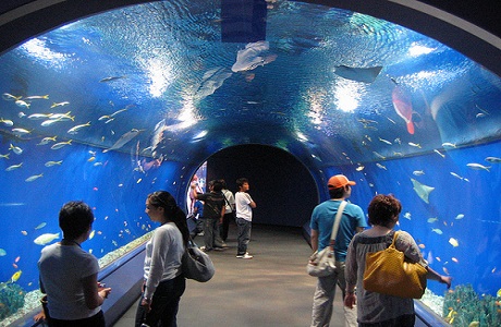 El acuario de Osaka, en Japón